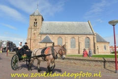 ACE_0299 (650x434)