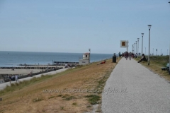 DSC_1179 (950x632)