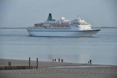 HMVD16 (55)