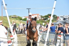 DSC_2416 (950x632)