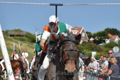 DSC_2445 (950x633)