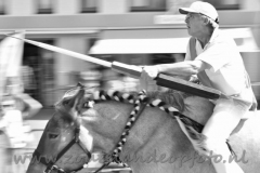 DSC_2535 (950x632)
