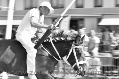 DSC_2543 (950x633)