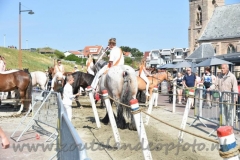 DSC_2574 (950x632)