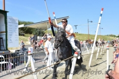 DSC_2598 (950x632)