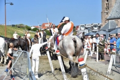 DSC_2662 (950x632)