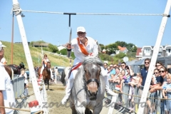 DSC_2675 (950x632)