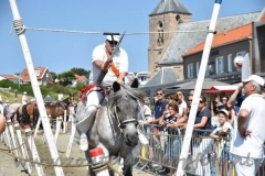 DSC_2708 (950x632)