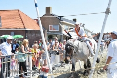 DSC_2742 (950x632)
