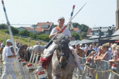 DSC_2938 (10) (950x633)