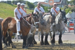 DSC_2938 (19) (950x633)