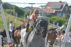 DSC_2938 (23) (950x633)