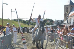 DSC_2938 (34) (950x633)