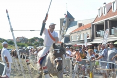DSC_2938 (43) (950x634)