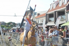 DSC_2938 (48) (950x634)