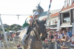 DSC_2938 (51) (950x634)