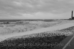 DSC_7599 (950x623)