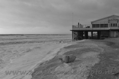 DSC_7615 (950x621)