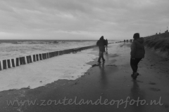 DSC_7642 (950x614)