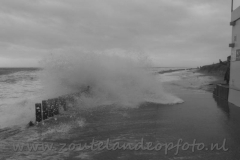 DSC_7657 (950x633)