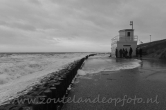 DSC_7673 (950x620)