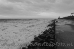 DSC_7679 (950x587)