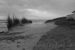 DSC_7690 (950x608)