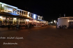 DSC_5568 (950x619)