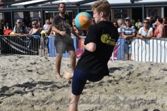 DSC_6022 (950x633)