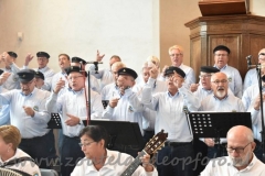 DSC_8917 (950x632)