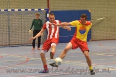 DSC_7355 (950x634)